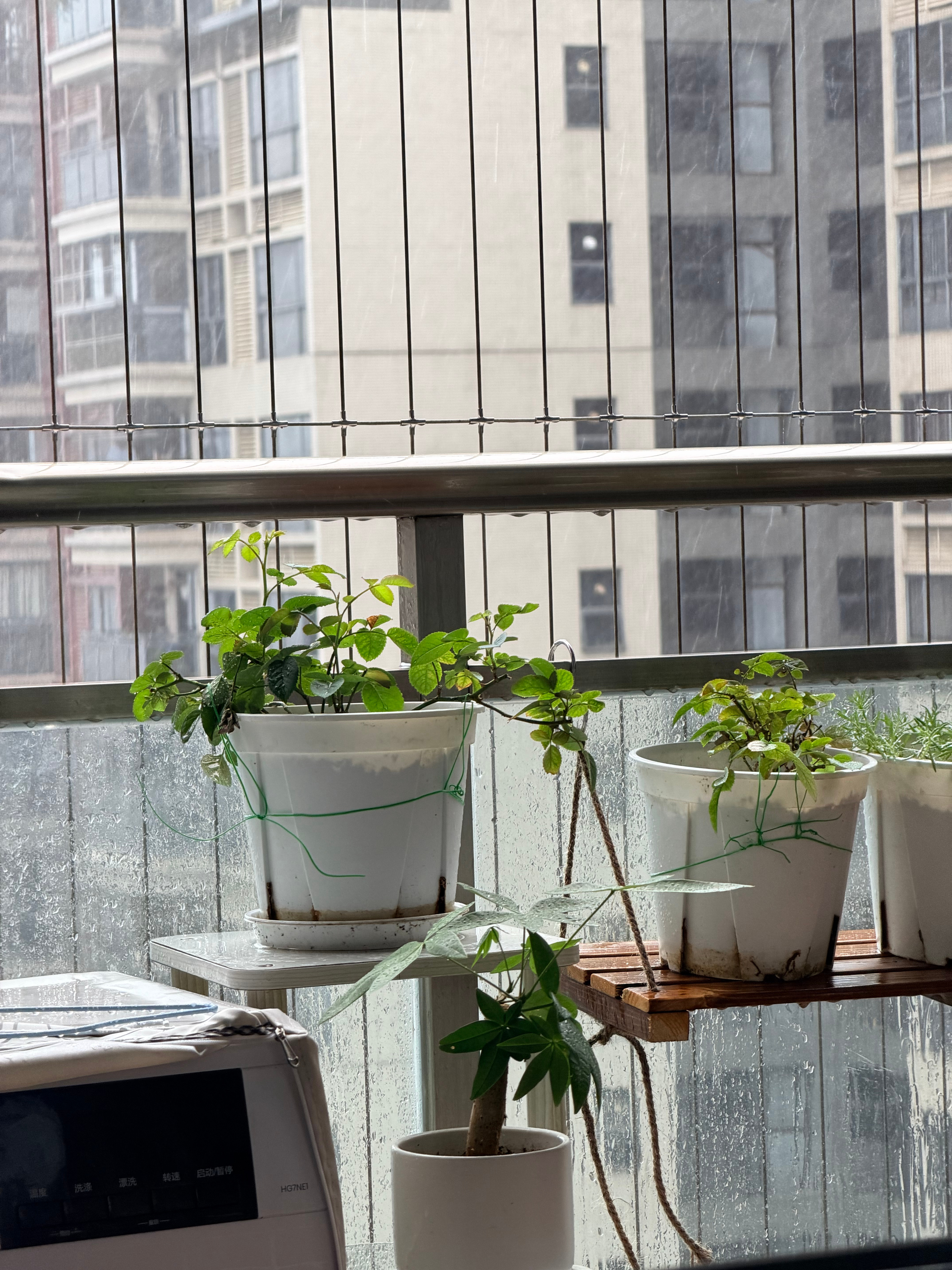 看样子今天深圳的雨是不会停了有人知道这次台风红霞有多少级 