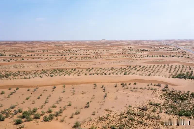 看到“大漠烽烟起”，我脑海里瞬间浮现出那黄沙漫天、战火纷飞的壮阔画面。而“沙漠变