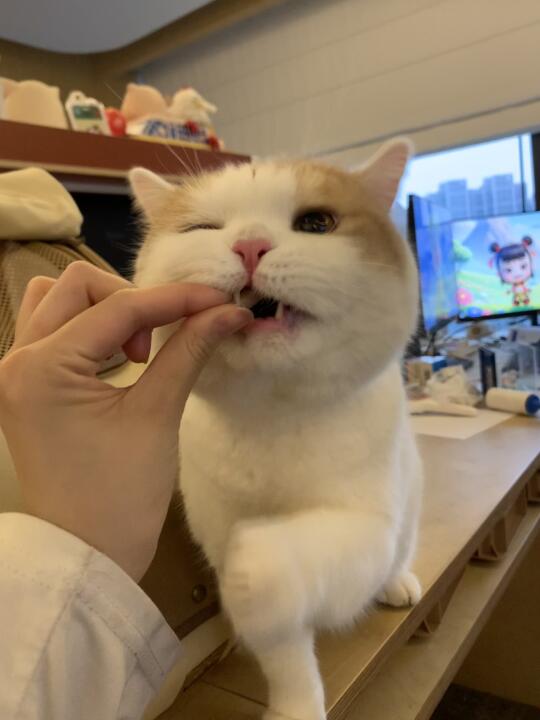 这种呆傻的孩子…