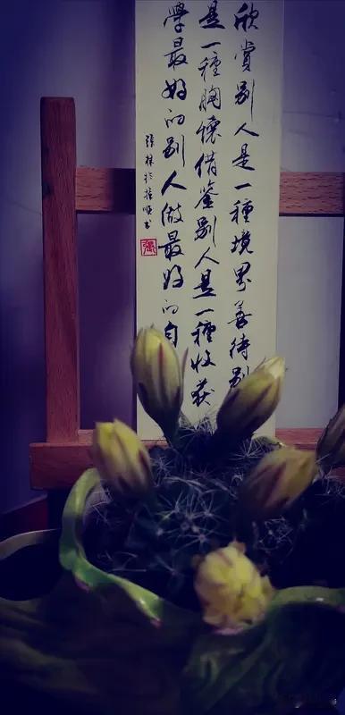 看到“山泉煮茶结好友”这个上联，我觉得对得很有意境。用山泉煮茶，在茶香中结识好友