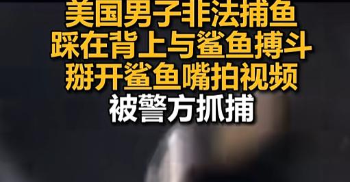 “比流量先来的是手铐！”7月佛罗里达，一哥们儿钓上鲨鱼后直接踩背掰嘴拍视频，想火