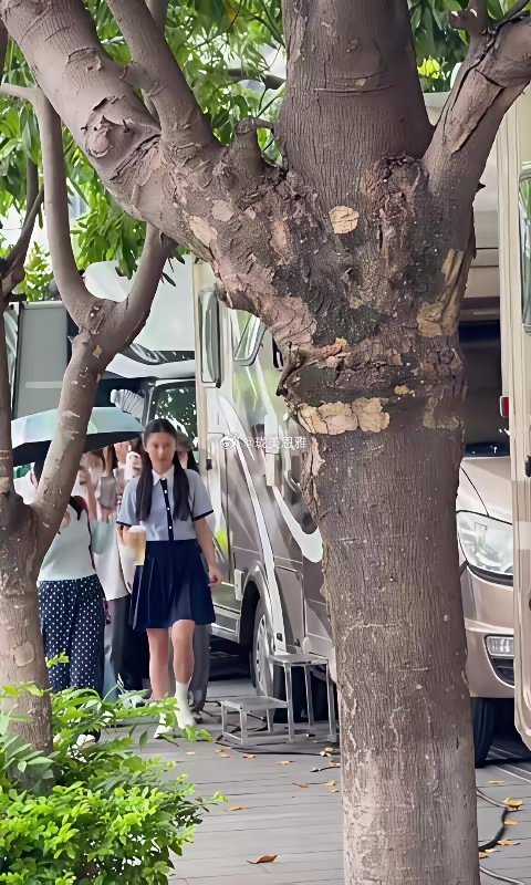 网友说七七和她妈妈越来越像了脸部留白变多了……童星的脸很容易长歪