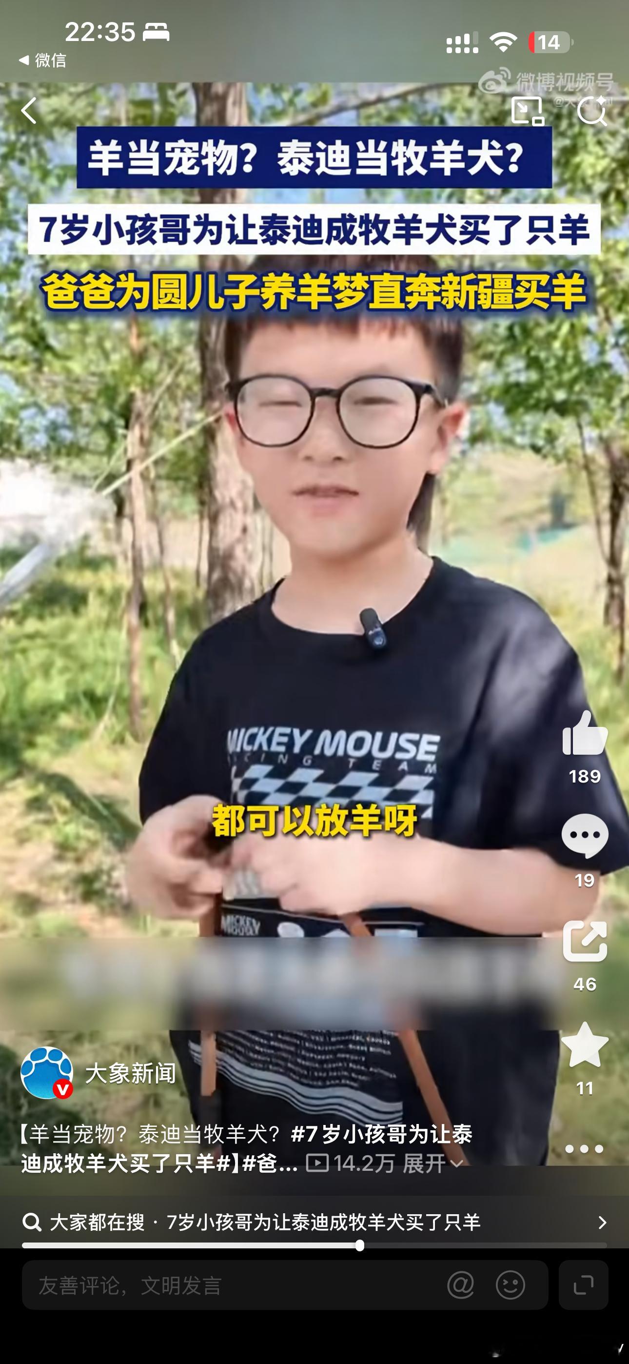7岁小孩哥为让泰迪成牧羊犬买了只羊表面看是一场啼笑皆非的离谱愿望成真，内核却是很
