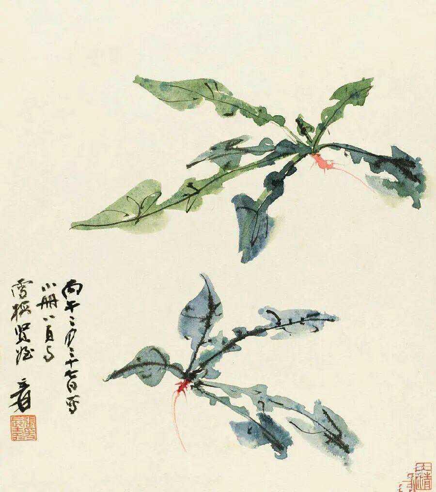 张大千 果蔬图册。新城事遇见艺术 ​​​