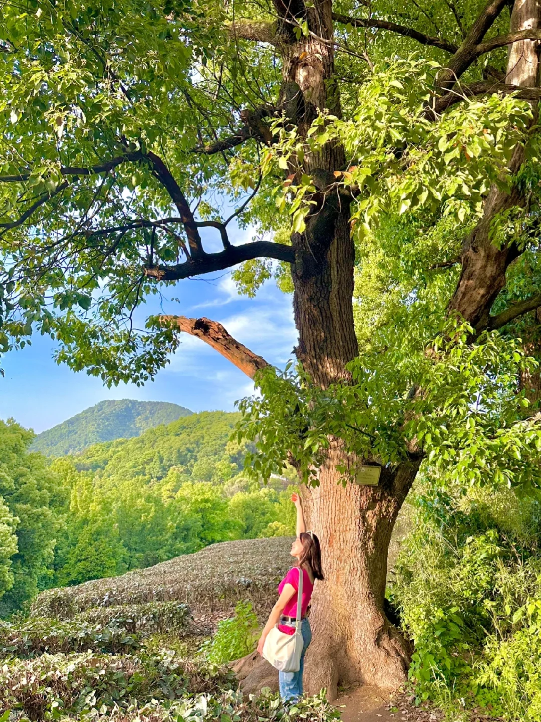 去了1万次杭州，还是最喜欢这里‼️‼️