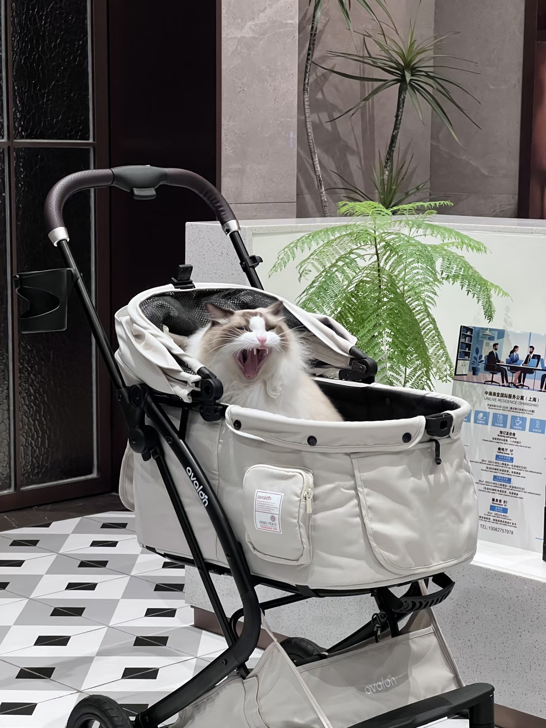 终于买到满意的推车啦