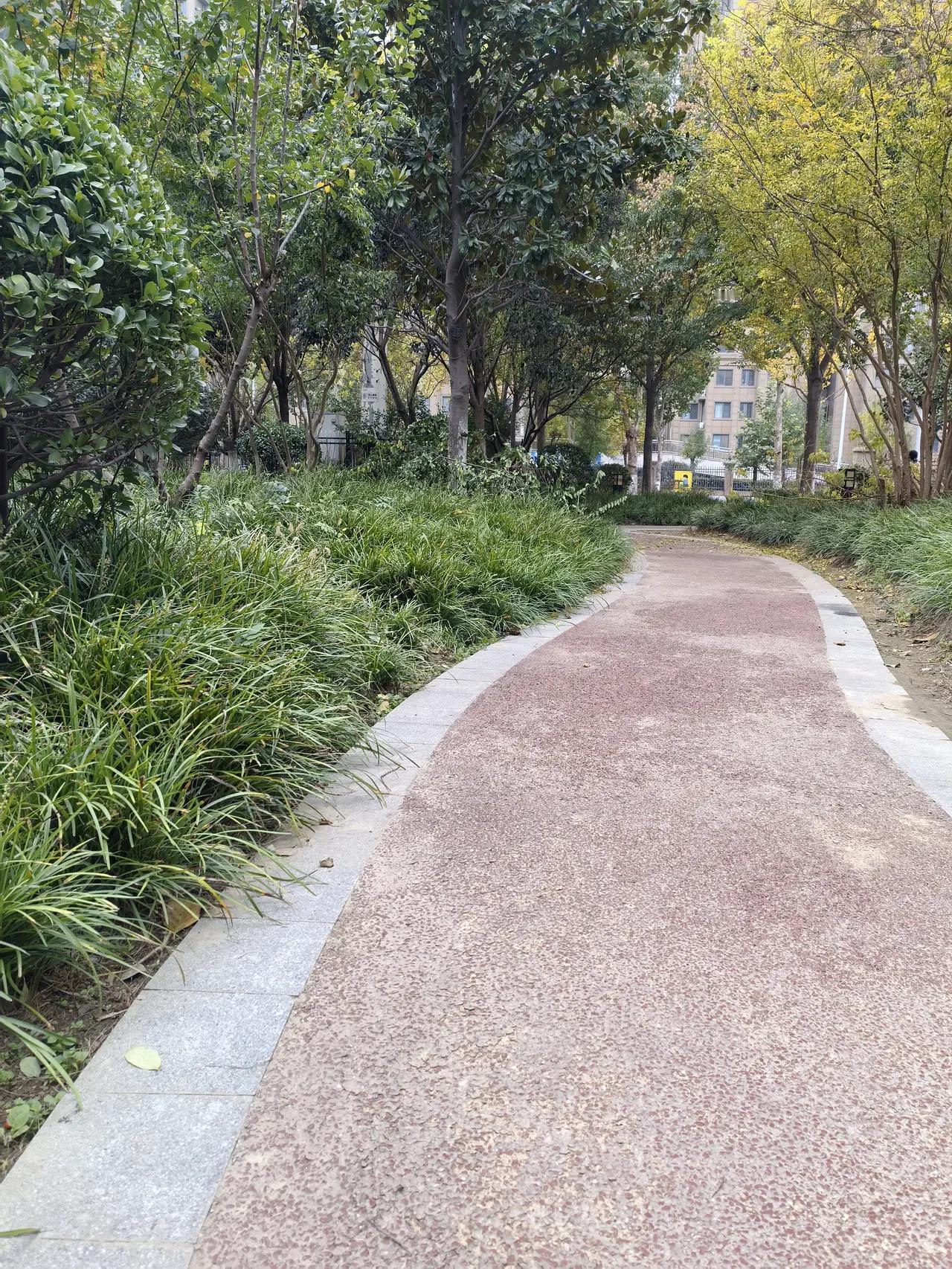 老李又坐在了信访局的长椅上，手里那叠材料已经被翻得起了毛边。对面的小张是接待人，