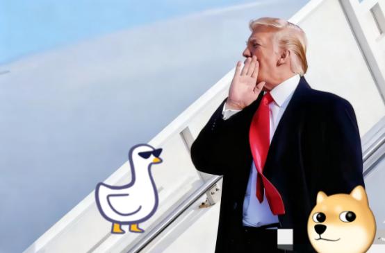 美国传来重磅消息！
当地时间11月5日，美国最高法院确实就特朗普政府关税政策的合