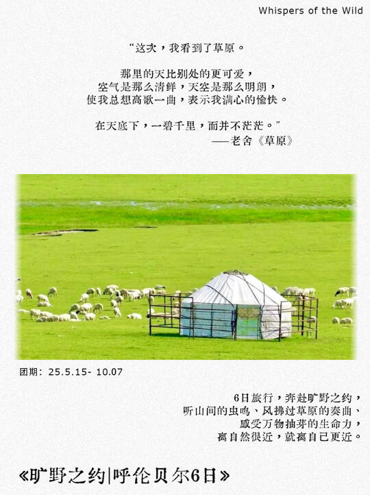 🌿呼伦贝尔 |赴一场夏日旷野之约 👒