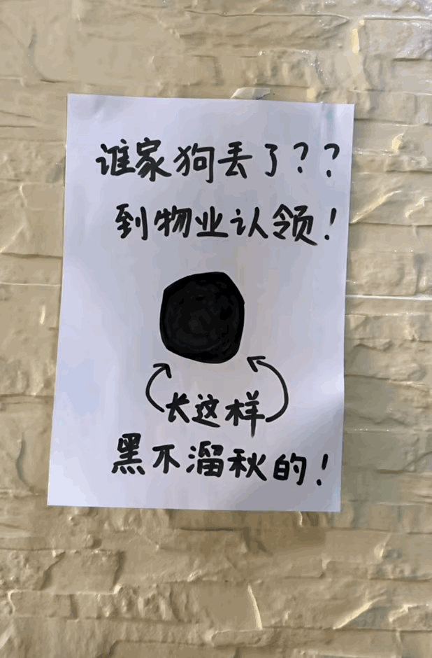 这画的几乎一模一样[捂脸][捂脸]