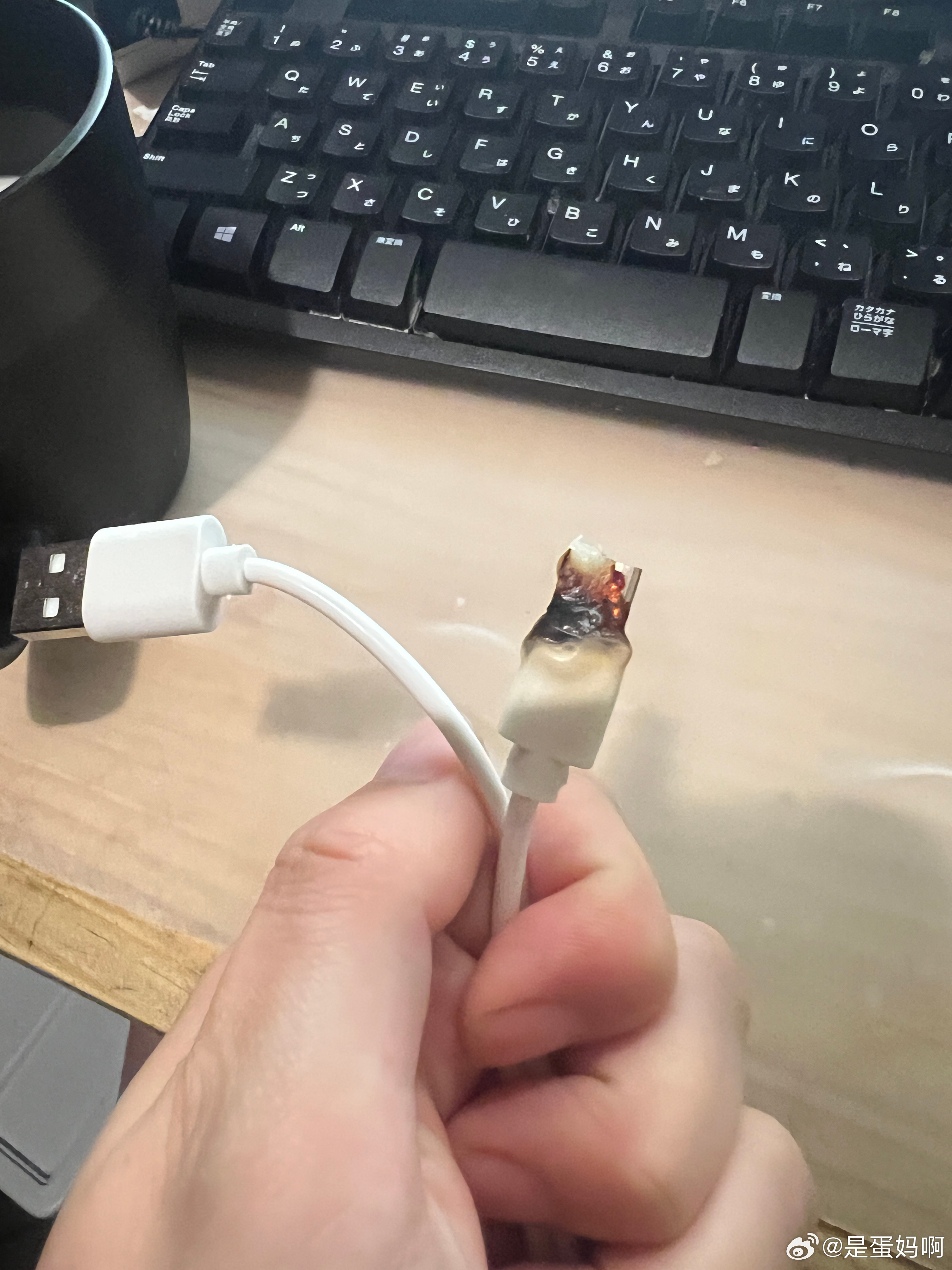 我晚上起来去蛋蛋的小房间，也就是我以前的电脑房，闻到特别浓的烟味。我问大猫你有在
