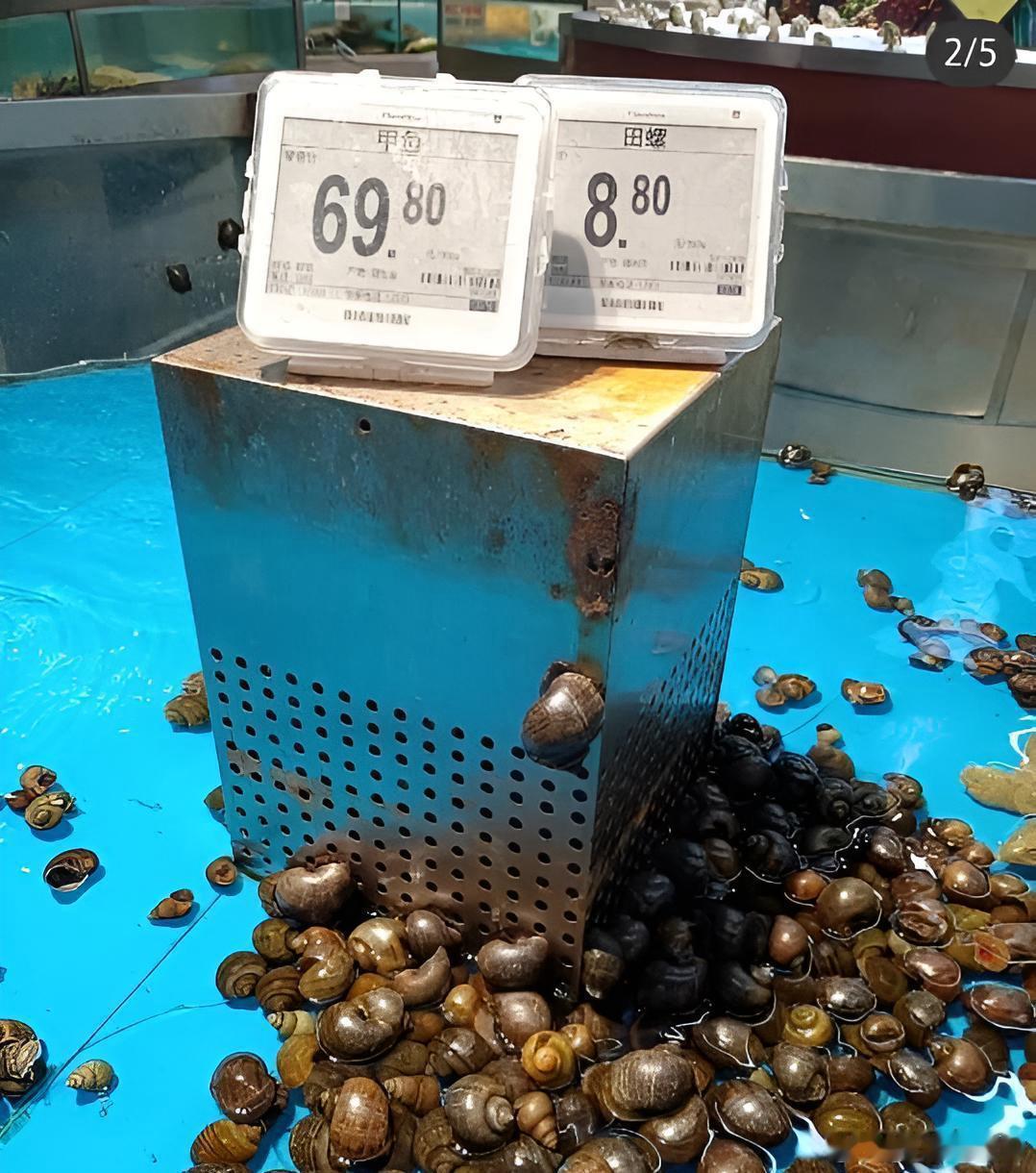 确定这是田螺，不是福寿螺？ ​​​