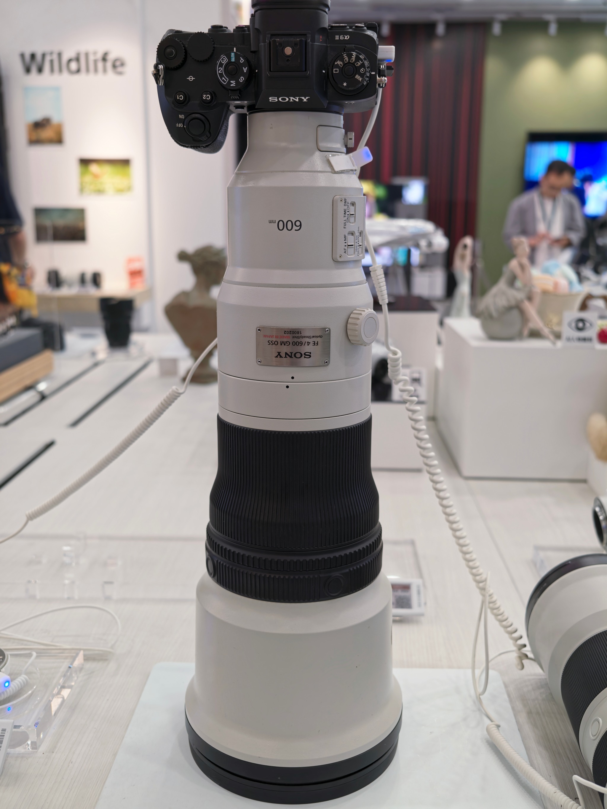 索尼600定，这玩意儿防抖什么的对我来说已经不重要了，这重量已经让我不举了
