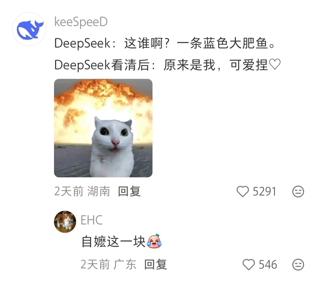 《蓝色大肥鱼》《非常简单可爱》 