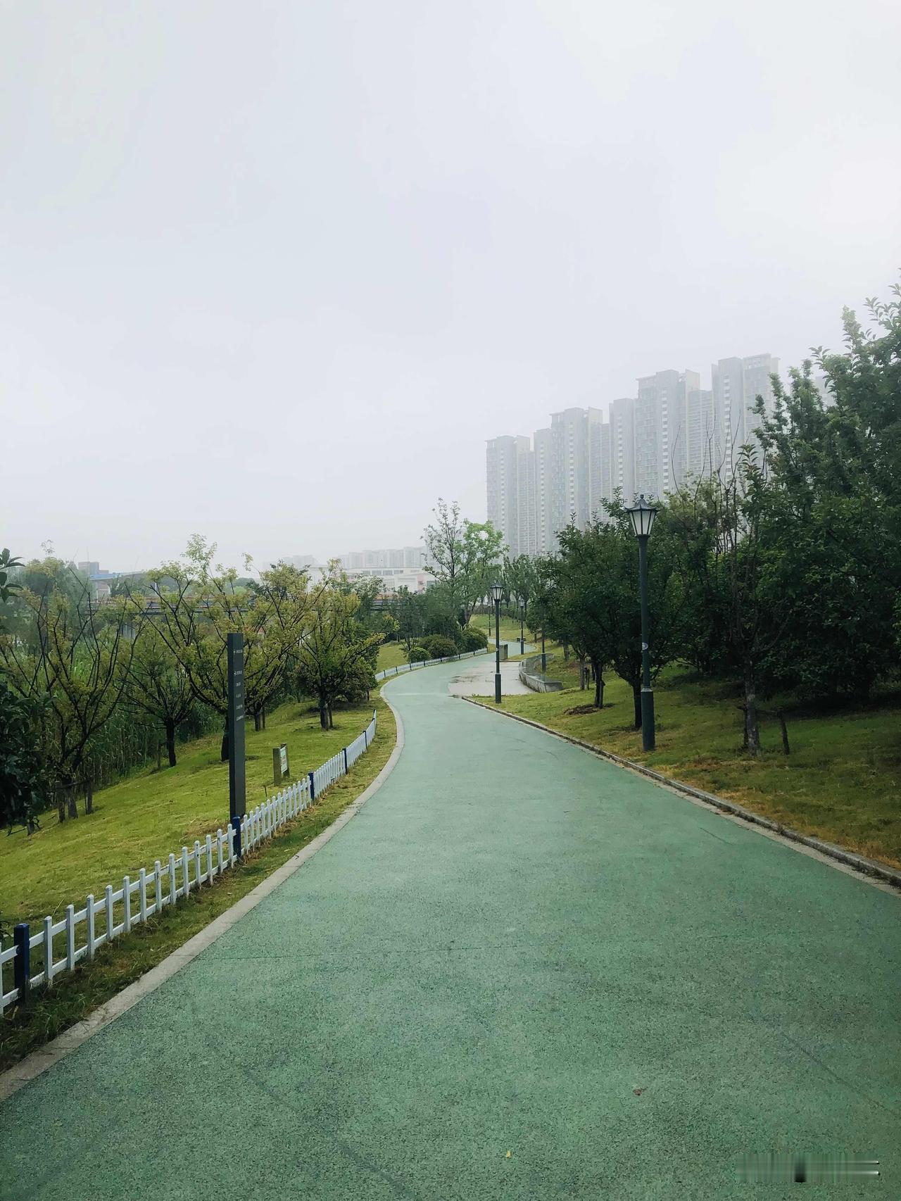 分享随手拍的景色今天天气小雨，细雨天逛滨河公园，整条绿道安静清爽，小河两岸芦苇长
