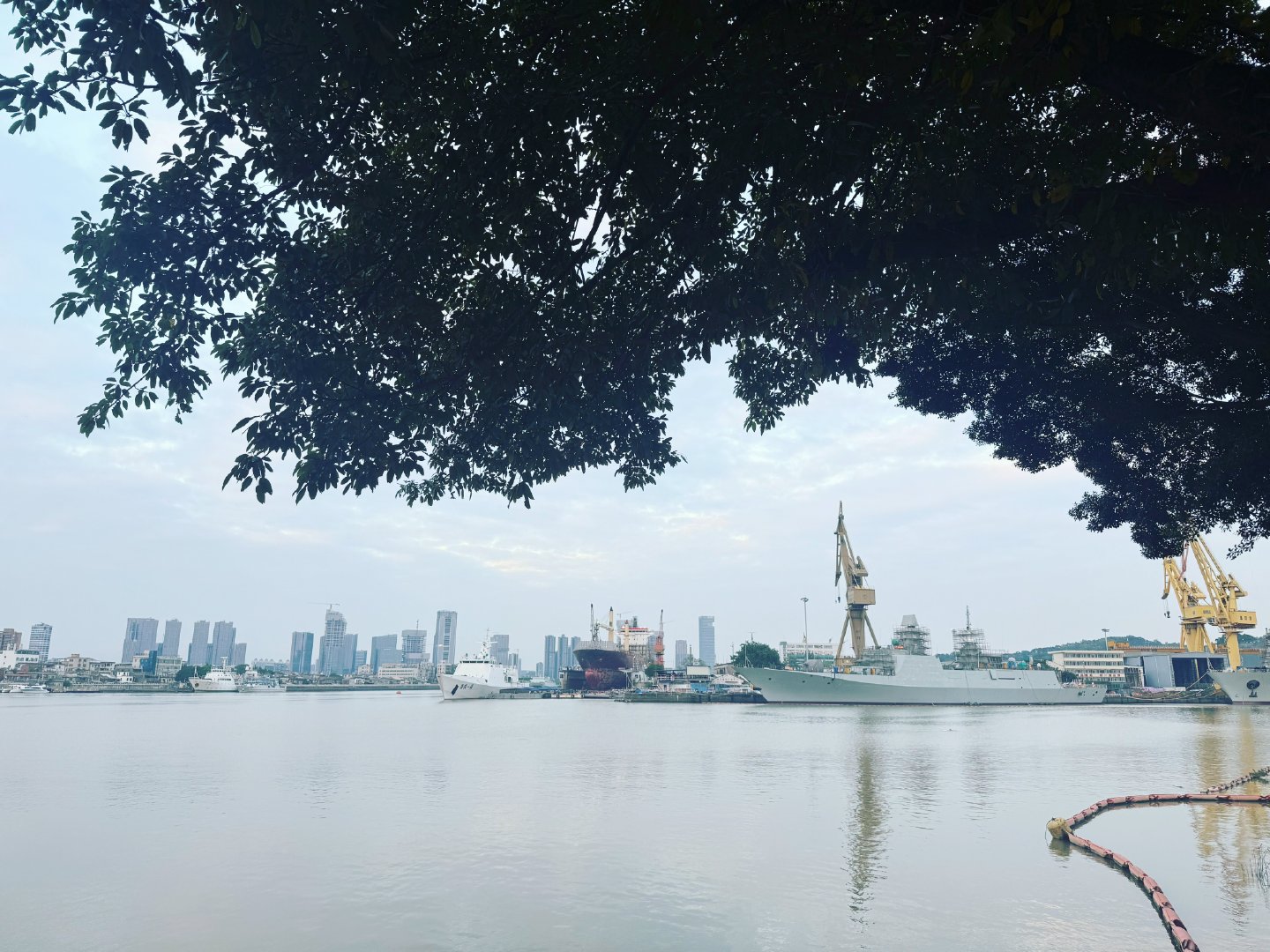 和朋友绕岛骑行了一下午。农业研究基地的水稻开花了，空气中传来一阵阵稻香，还有人在