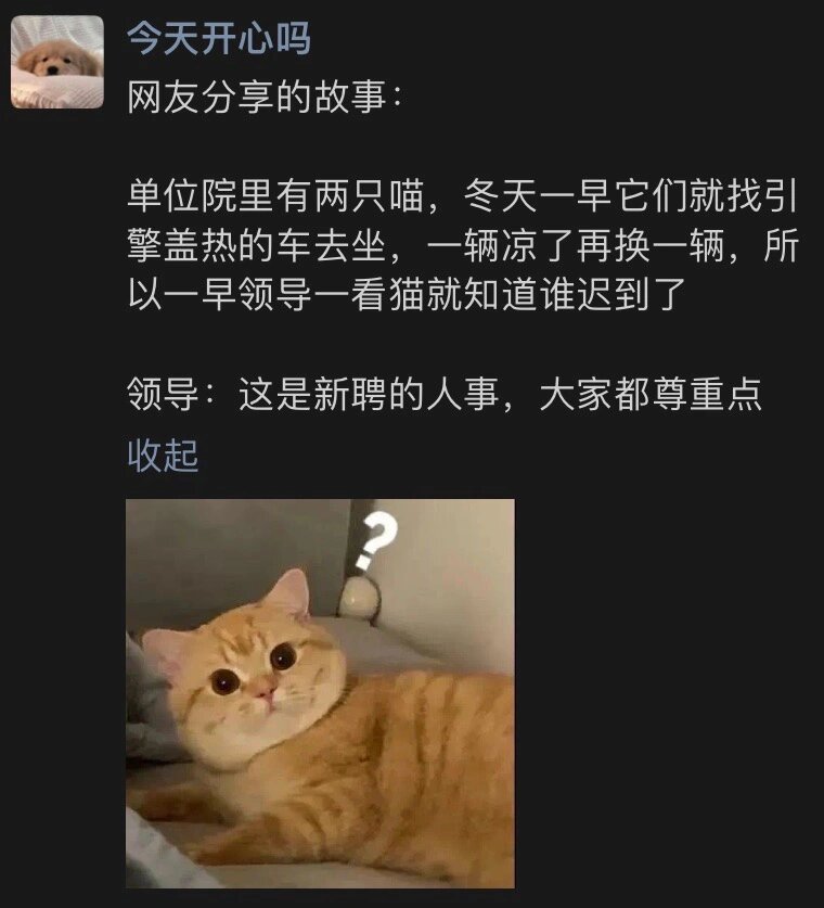 小猫：这个月的猫条什么时候结？ ​​​