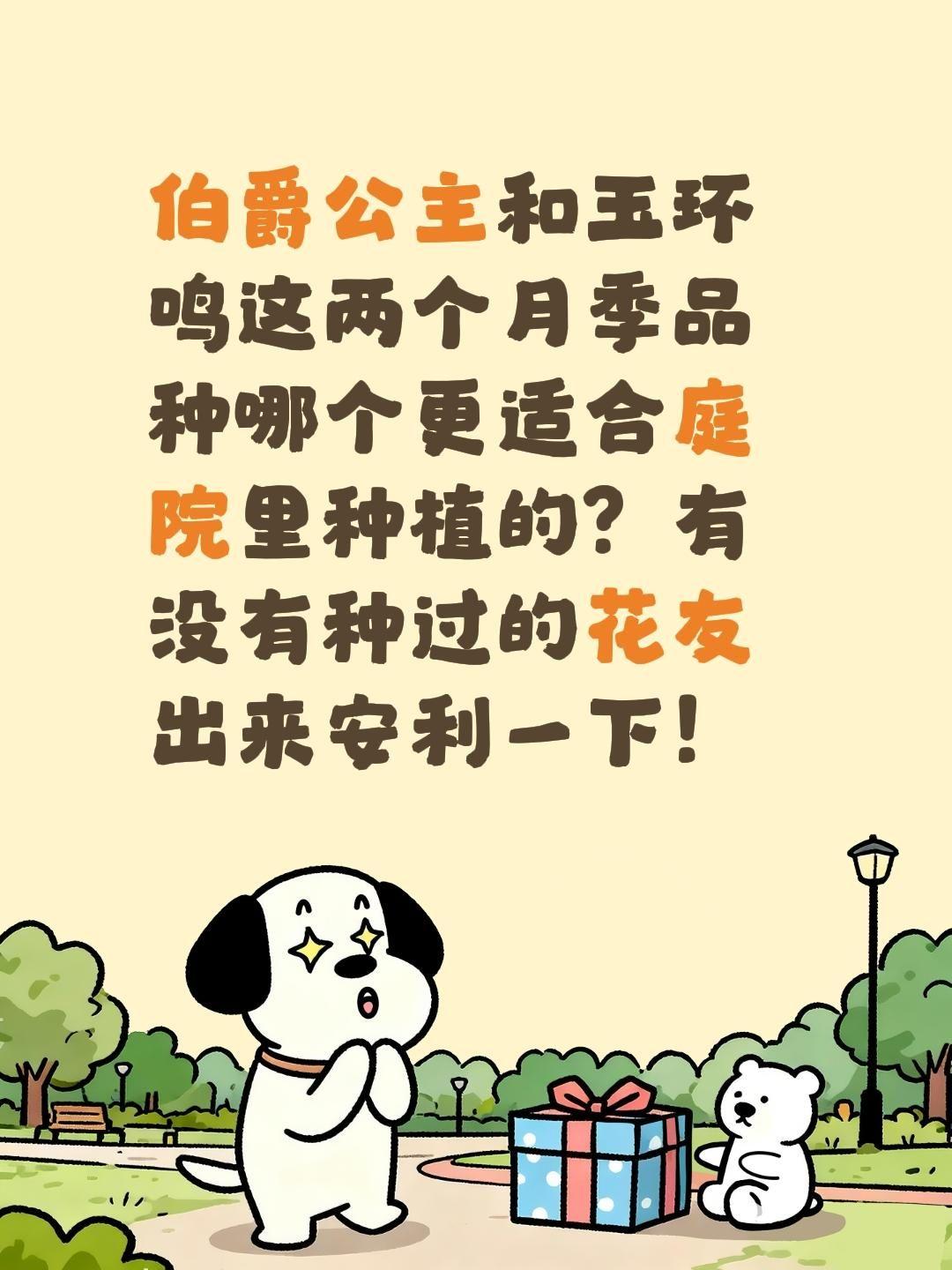 玉环鸣和伯爵公主应该怎么选？伯爵公主和玉环鸣这两个月季品种哪个更适合庭院里种植的