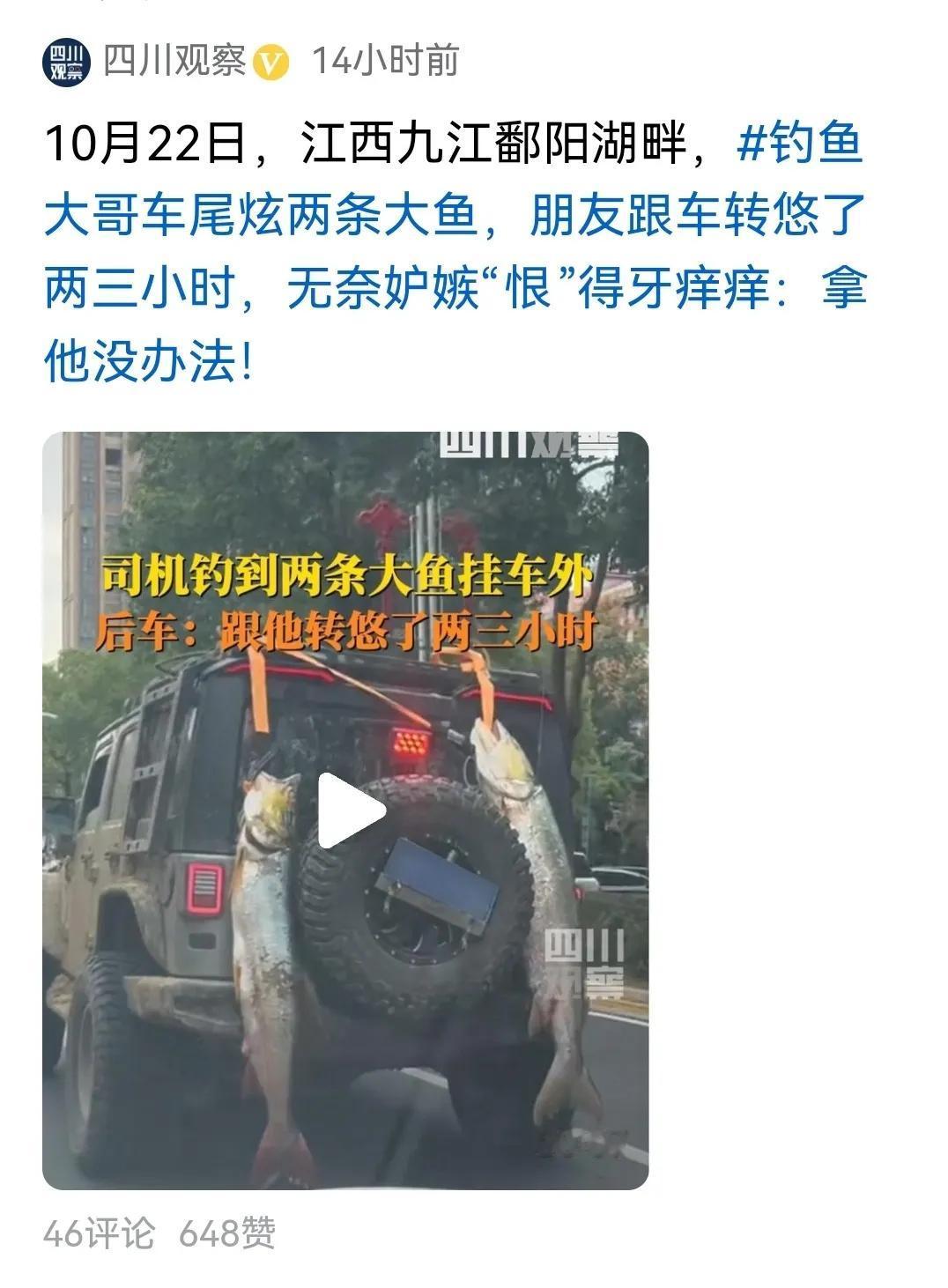 #钓鱼大哥车尾挂两条大鱼炫耀#
看过视频，酸甜苦辣咸五味杂陈。所谓酸，自己钓了大