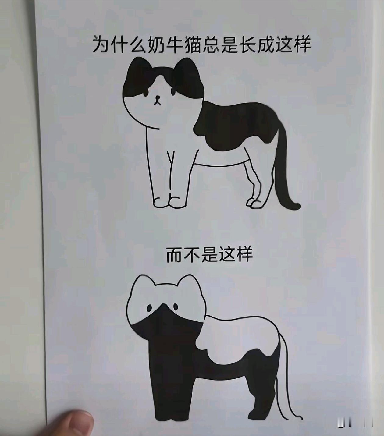 我也有同样的疑问