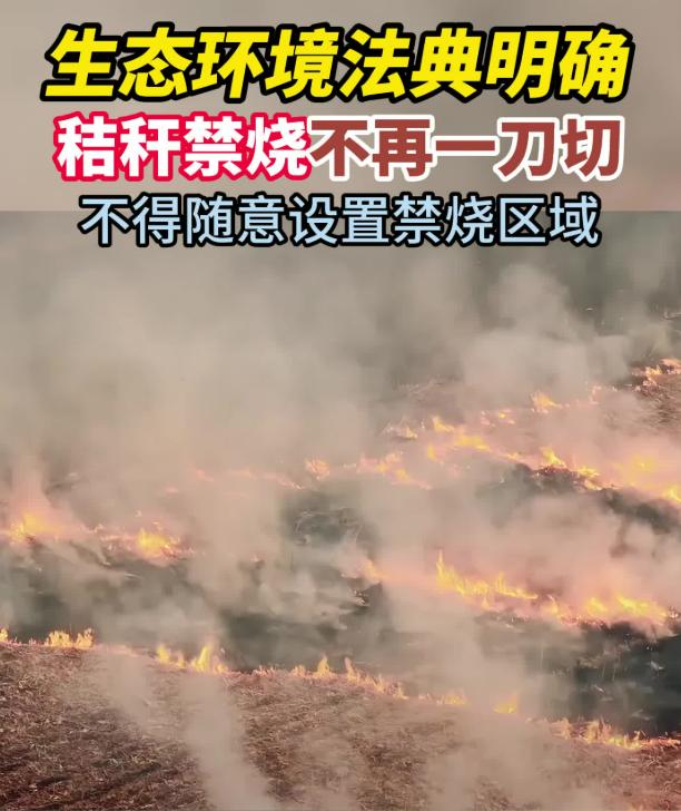 真心要夸一夸这个新规了！
 
8月15日，《中华人民共和国生态环境法典》正式施行