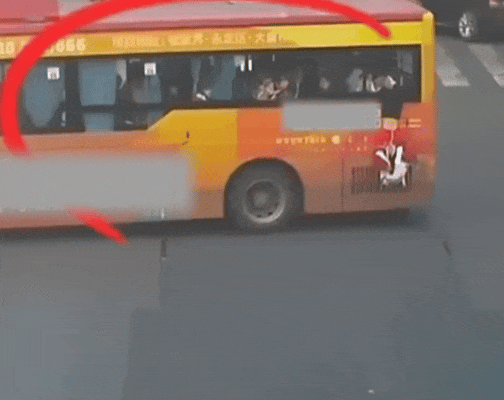 近日，湖南张家界一女孩从公交车窗滑落。危急时刻，辅警吴胜泽骑电动车追上去，成功将