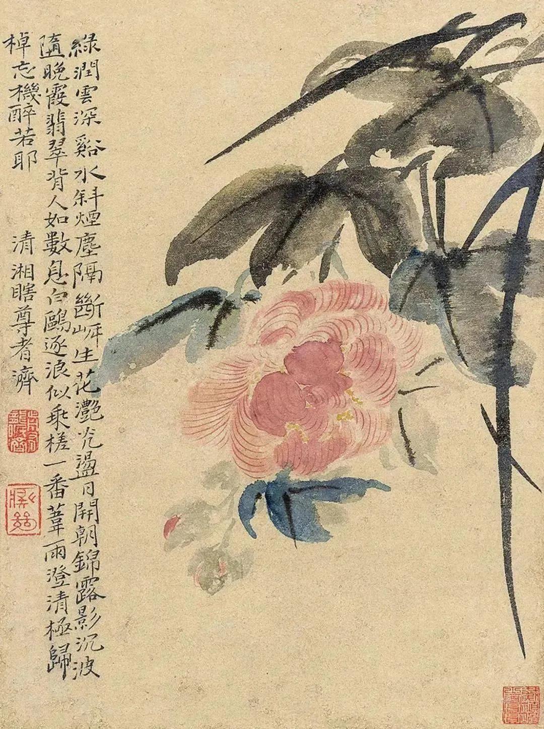 放浪不羁行迹外：石涛细笔花卉，春色撩人！
 