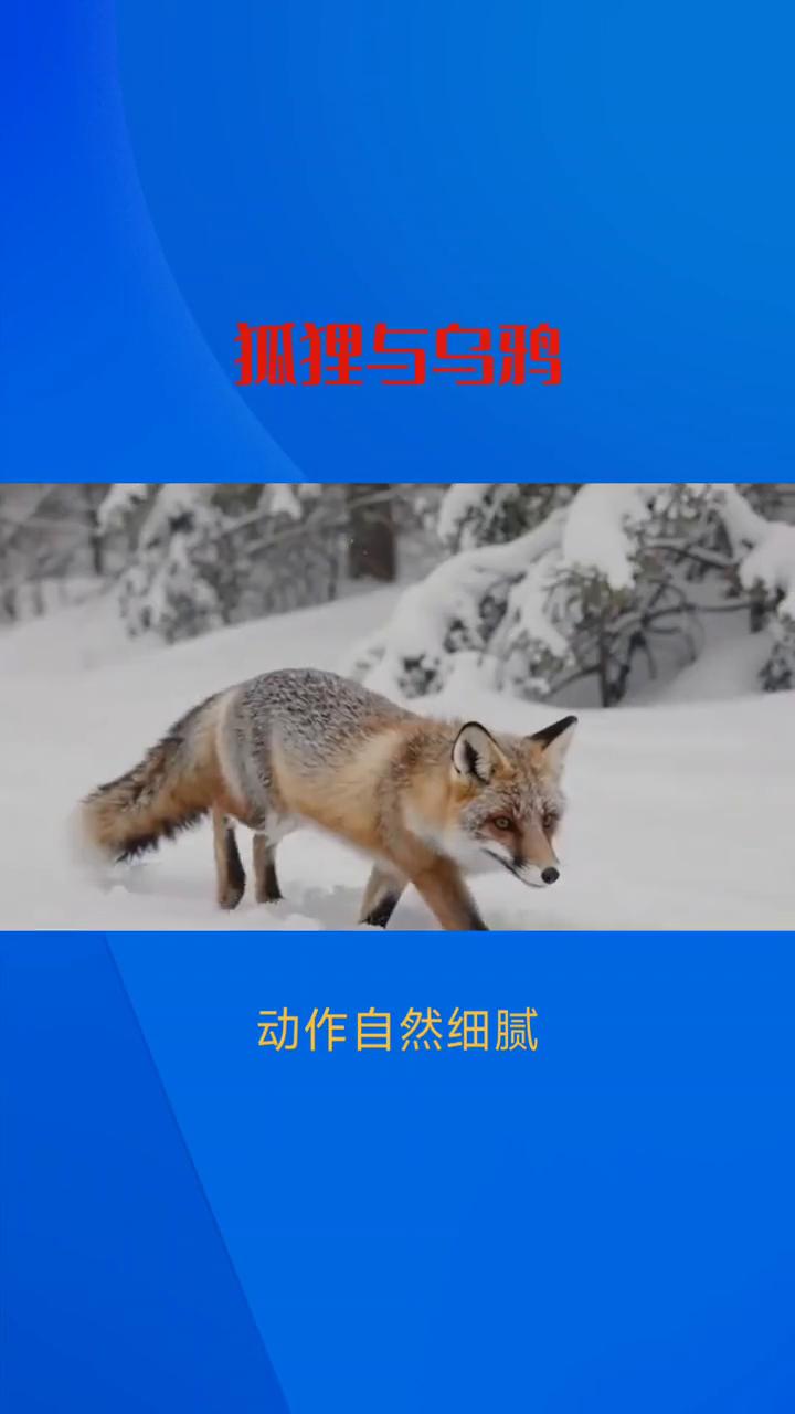 狐狸与乌鸦。
寓言故事：抓狸与乌鸦。
·第一段：狐狸出现。初心，左右环顾，诱惑将