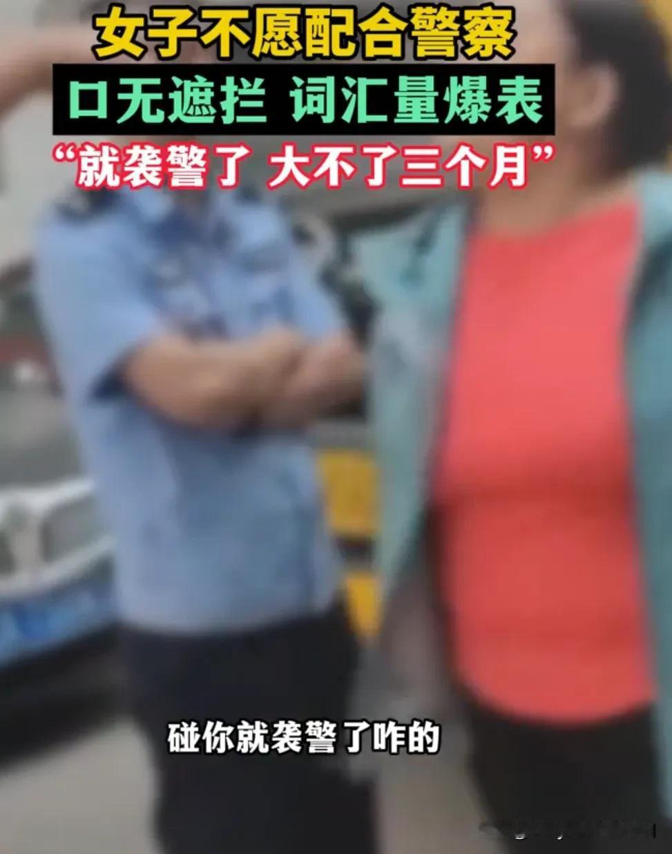 沈阳一孕妇骚扰蜀黍，甚至蹲下来比划警棍：你那个多长？
我估计她也是全国范围内头一