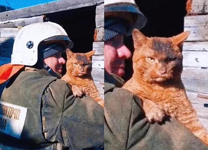 猫咪：必须得找到这个纵火的人！