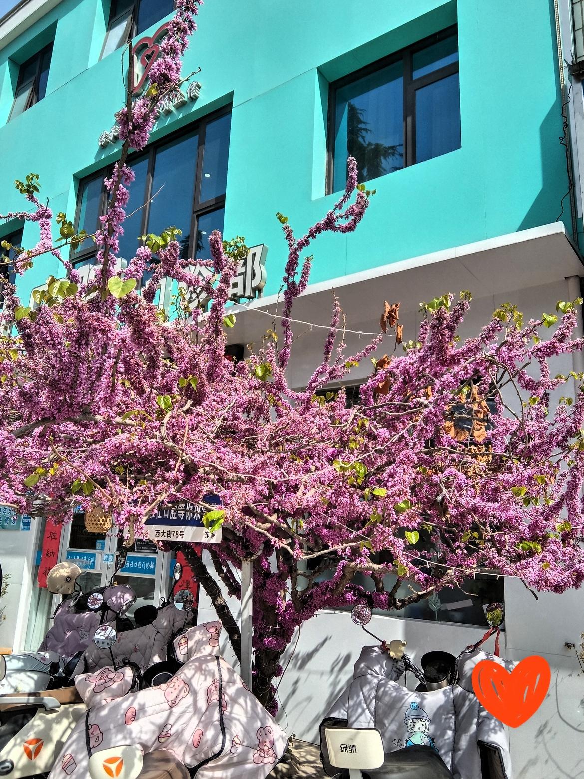 有些盼着的事慢慢成真了，也有些还在等。日子慢慢过，只要心里有念想，就觉得生活还有