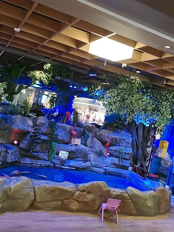 A股财经的现状！
1，有证的所谓经济学家，可以明目张胆的，收会员，引导投资者去买