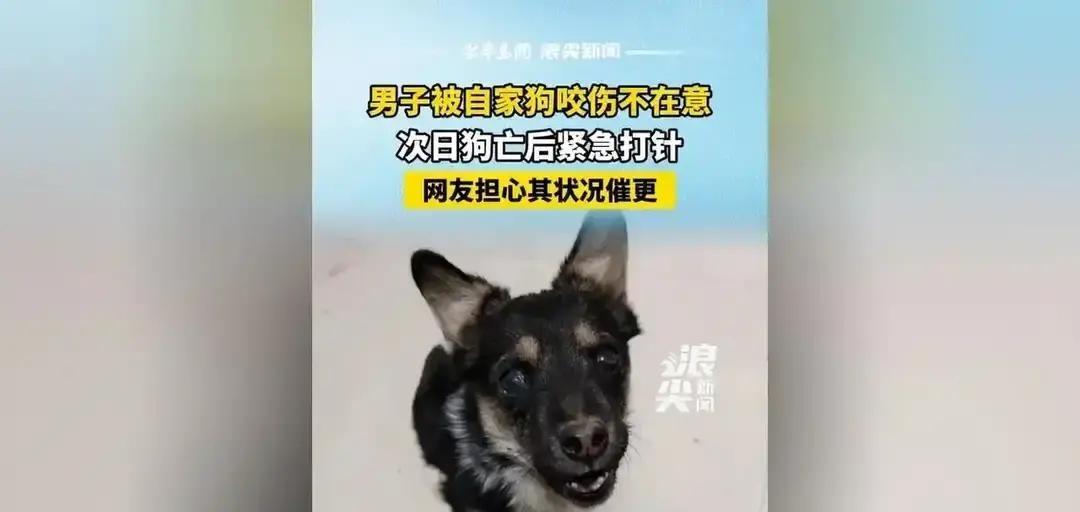 狗咬人后第二天死亡，男子紧急就医，1600元花得值吗？
河南周口的李先生被自家狗