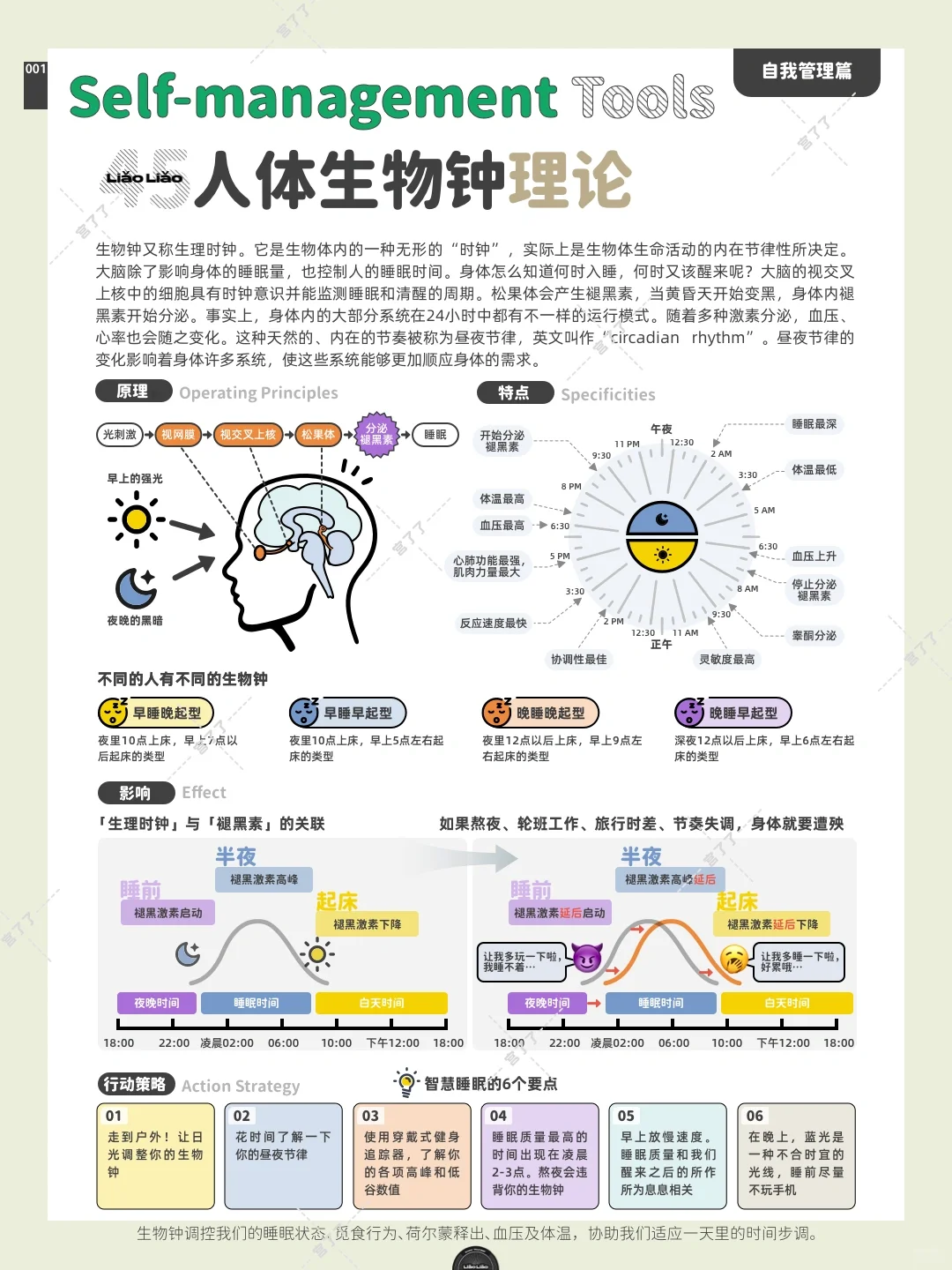 人体生物钟理论