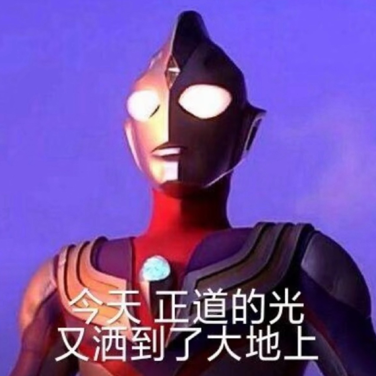 明明是正义之士有一个算一个 算我一个。 