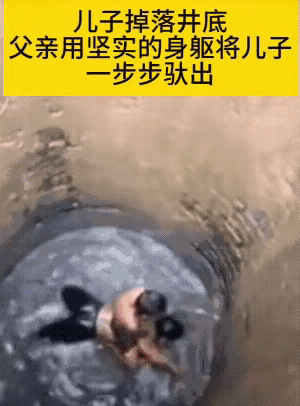 勇敢的父亲把掉进井底的儿子一步步驮出！这就是父爱的力量！