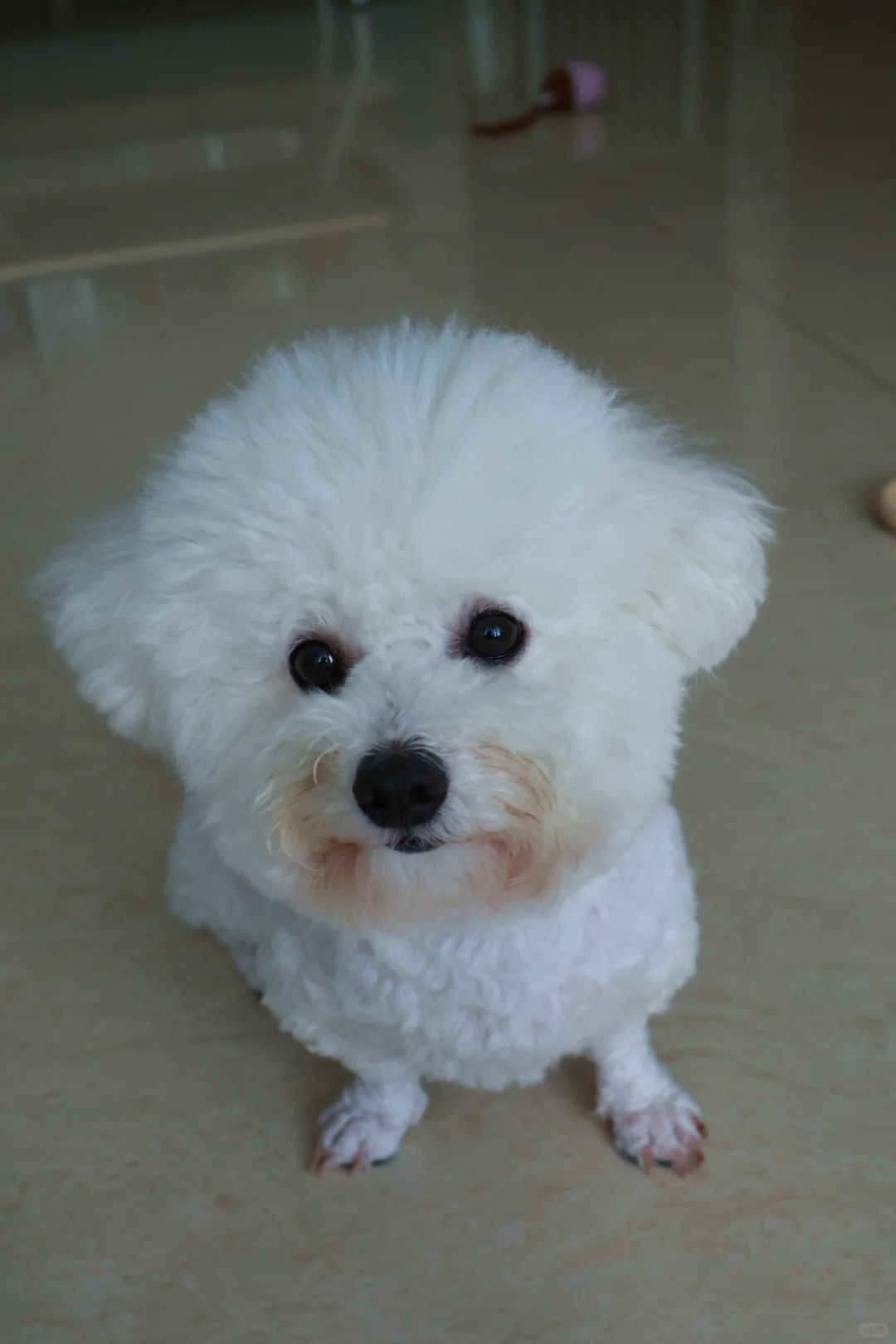 没有零食配合不了一点