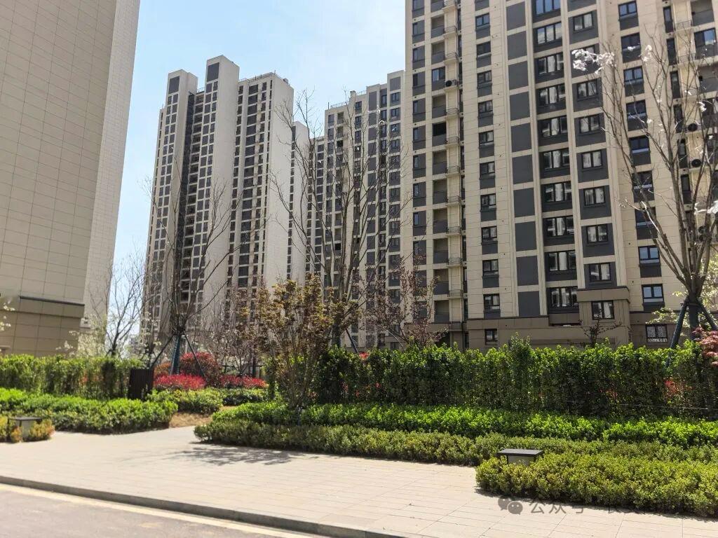 交房一年还在用临时电！胶州一小区频繁跳闸、电梯惊魂，业主太闹心

胶州天一仁和云