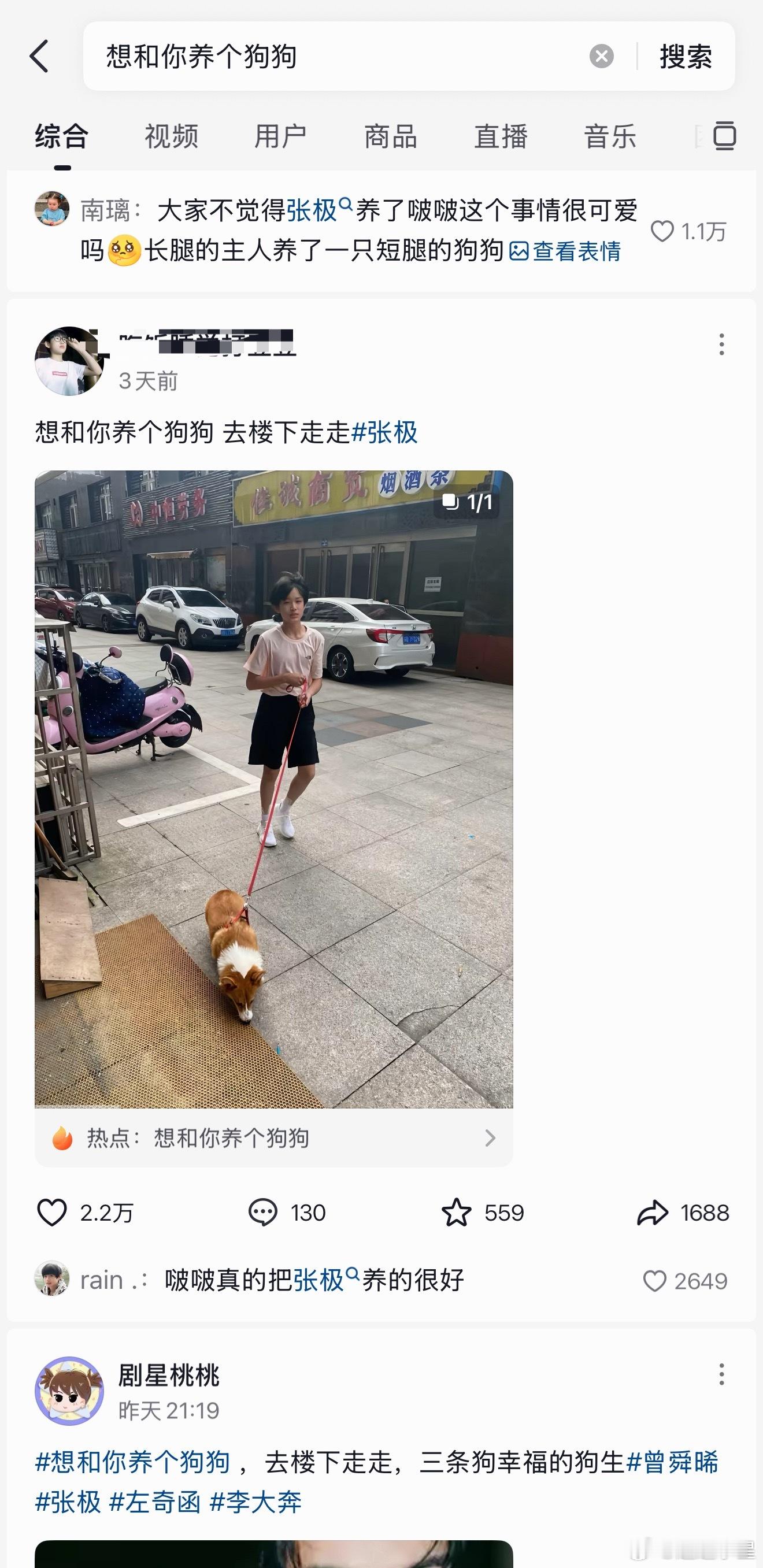 才看到🫘想和你养个狗狗ct全是极和啵啵这个实心大面包啊张极一路向海的少年