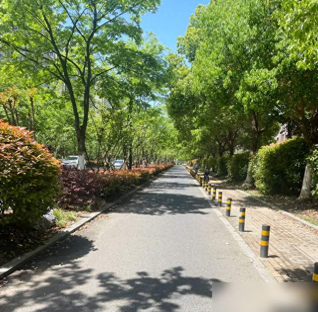 长伏天的阳台布置，先把遮晒和通风留出余地