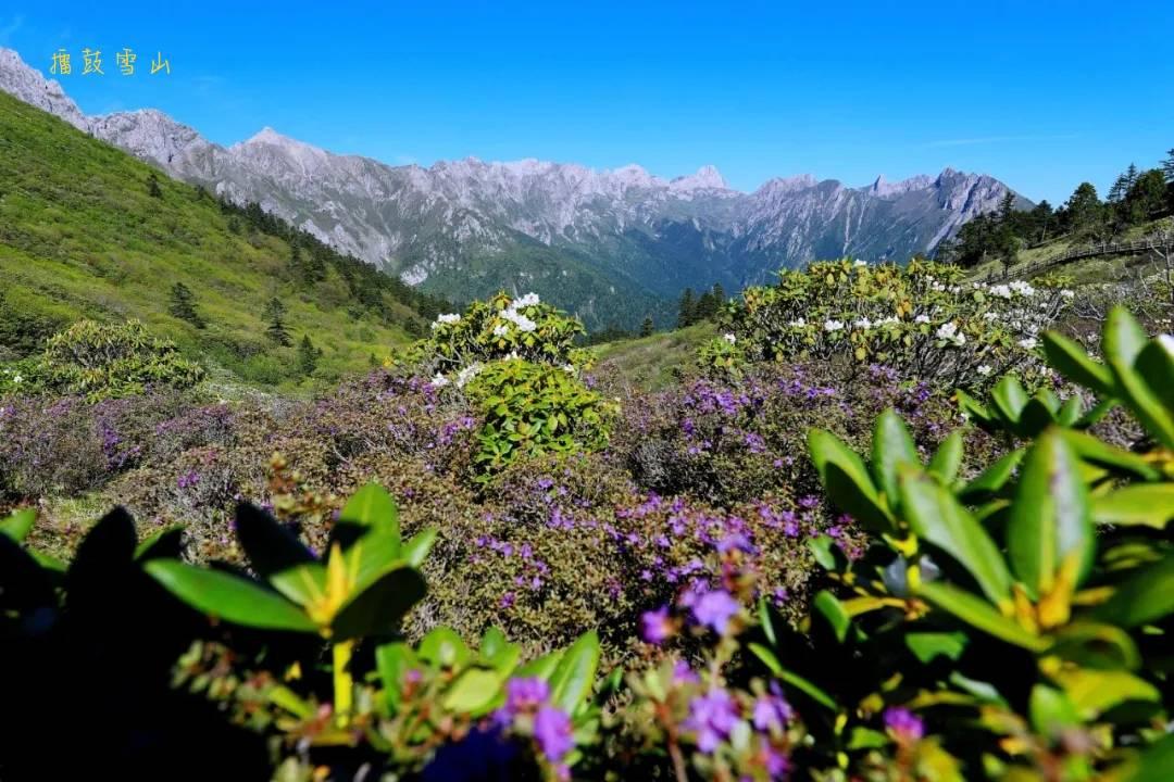 实话实说，夏天避暑的话，官鹅沟远胜云南贵州这些地方。
因为官鹅沟的海拔够高，最高