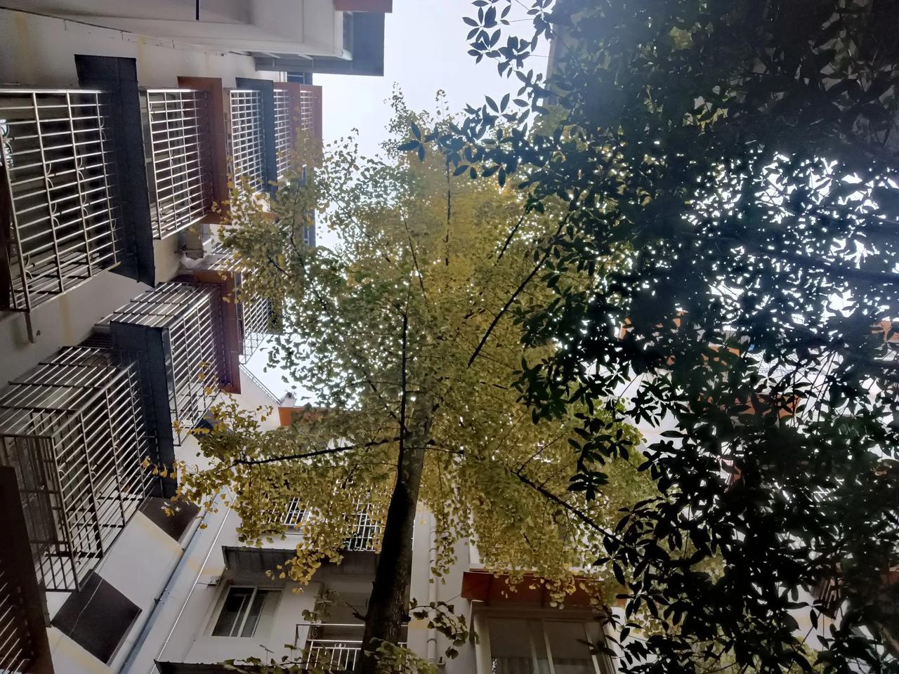 《琼瑶诗意梦》

庭院深深锁重楼，一帘幽梦水云间。 烟雨濛濛寒烟翠，几度夕阳月满