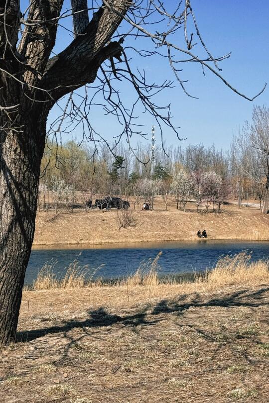 春暖花开🌸 能钓鱼🎣的免费露营地🏕️