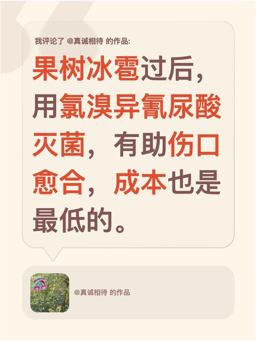 我评论了@真诚相待 的作品：
果树冰雹过后，用氯溴异氰尿酸灭菌，有助伤口愈合，成