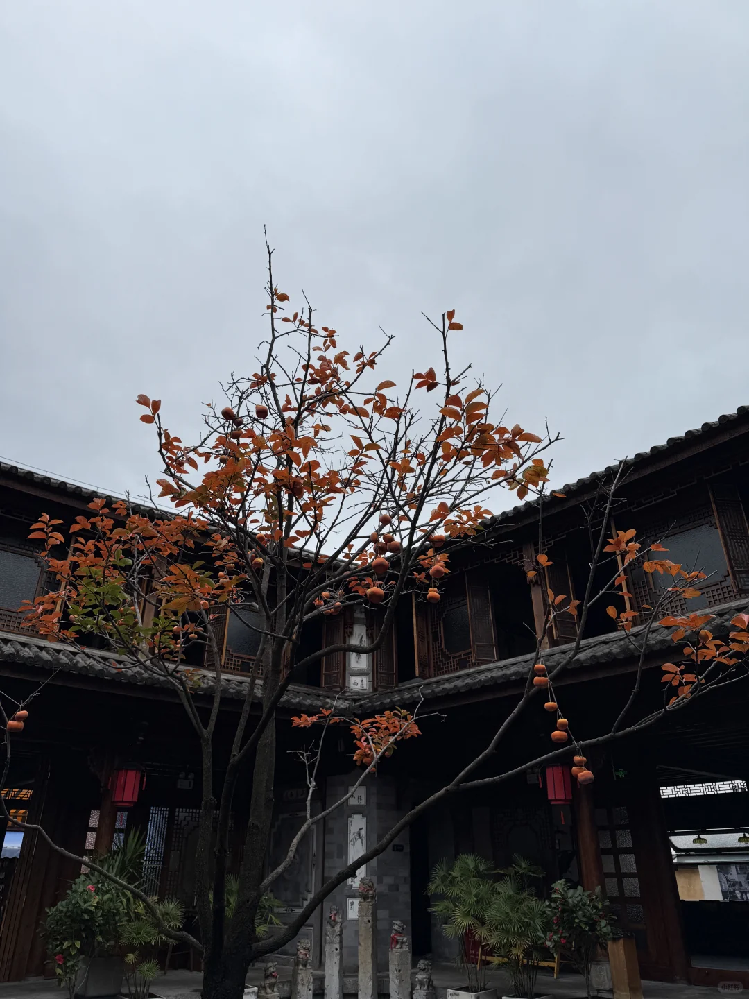 来更新一下……