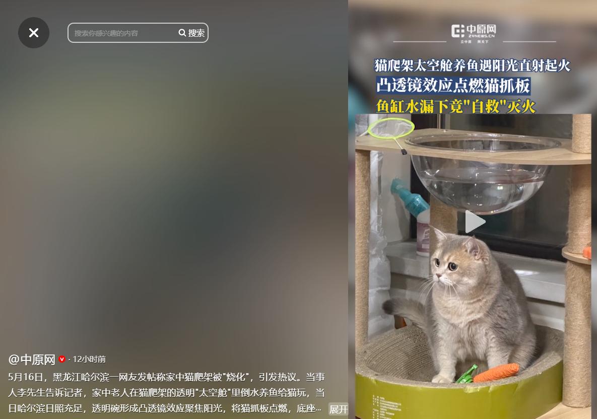 疼猫反险酿大祸！哈尔滨一位老人特意在猫爬架太空舱里养水逗猫，却因透明水碗聚光引发