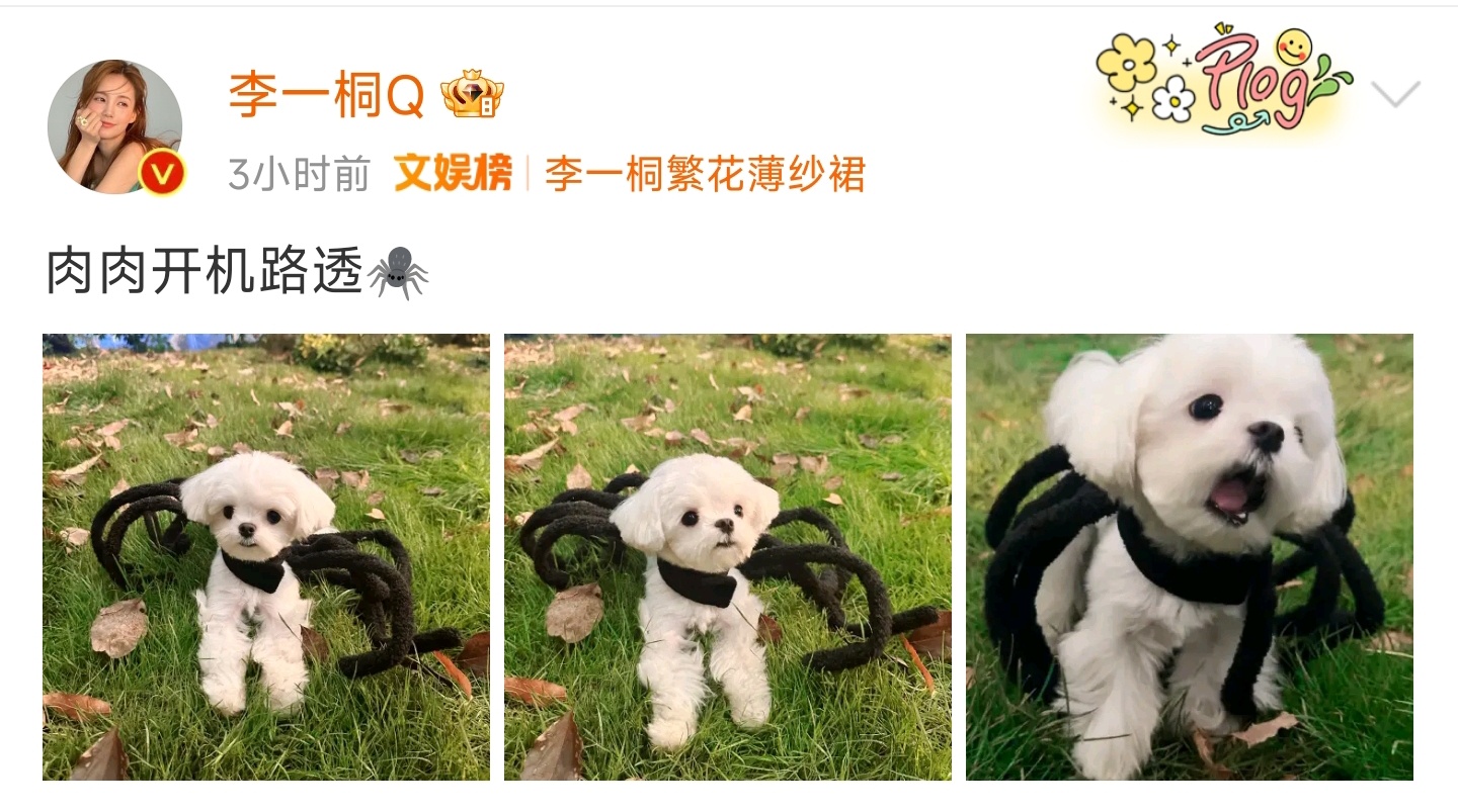 #李一桐是肉肉的站姐##坏了清瞳变成肉肉了#围观(｀・ω・´) ​​​