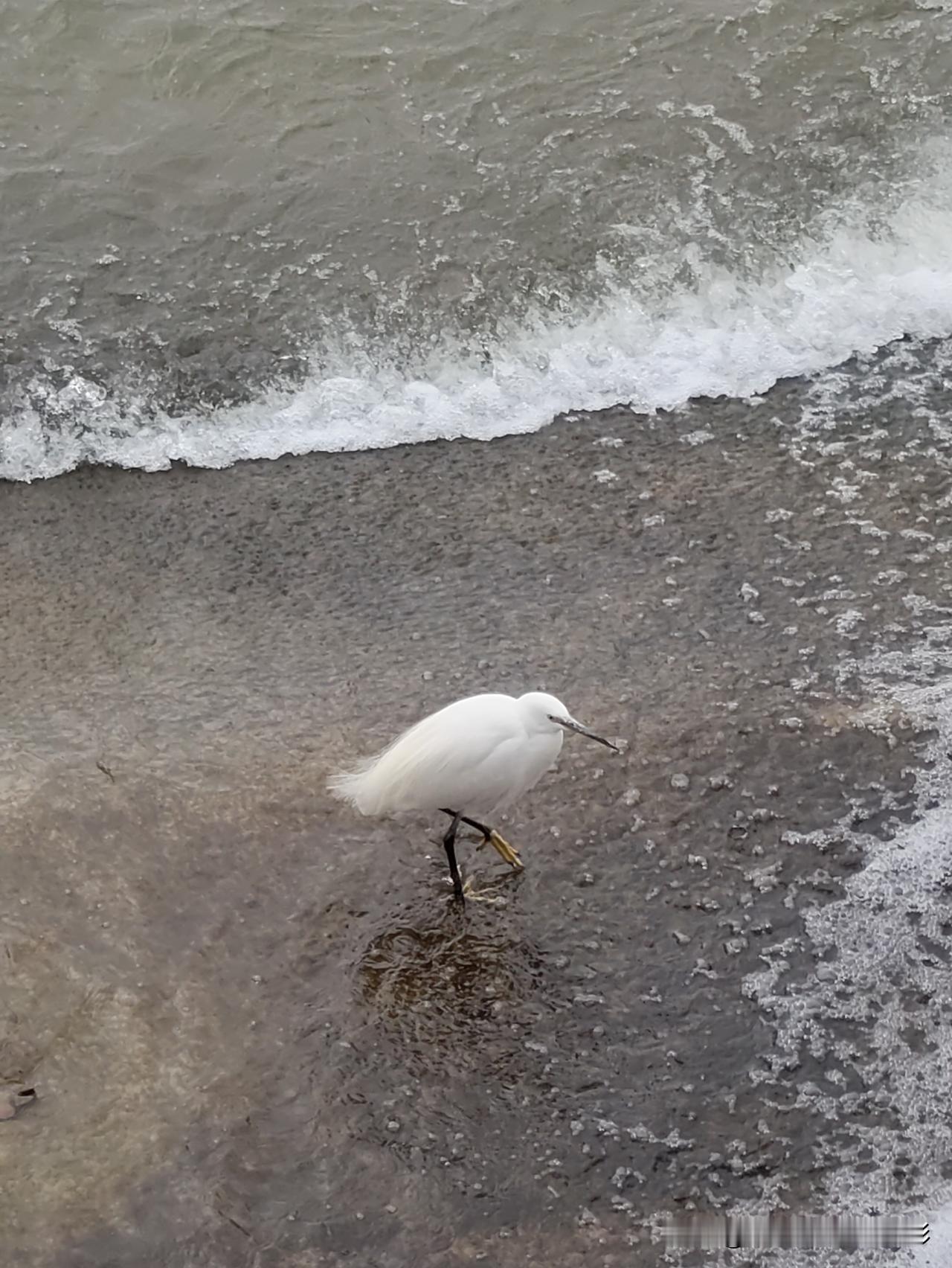 手机随手拍原创图片