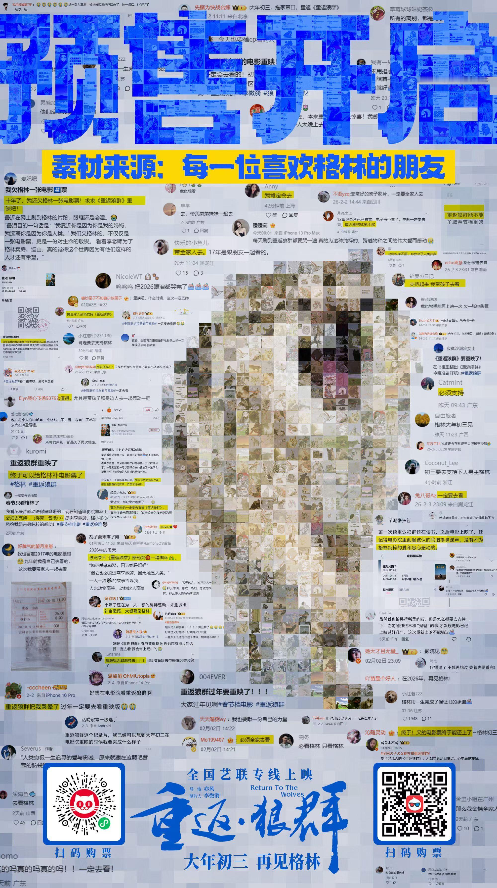 《重返·狼群》的预售海报好看的，用大家的声音拼出了一只好宝也明白这部片敢进春节档