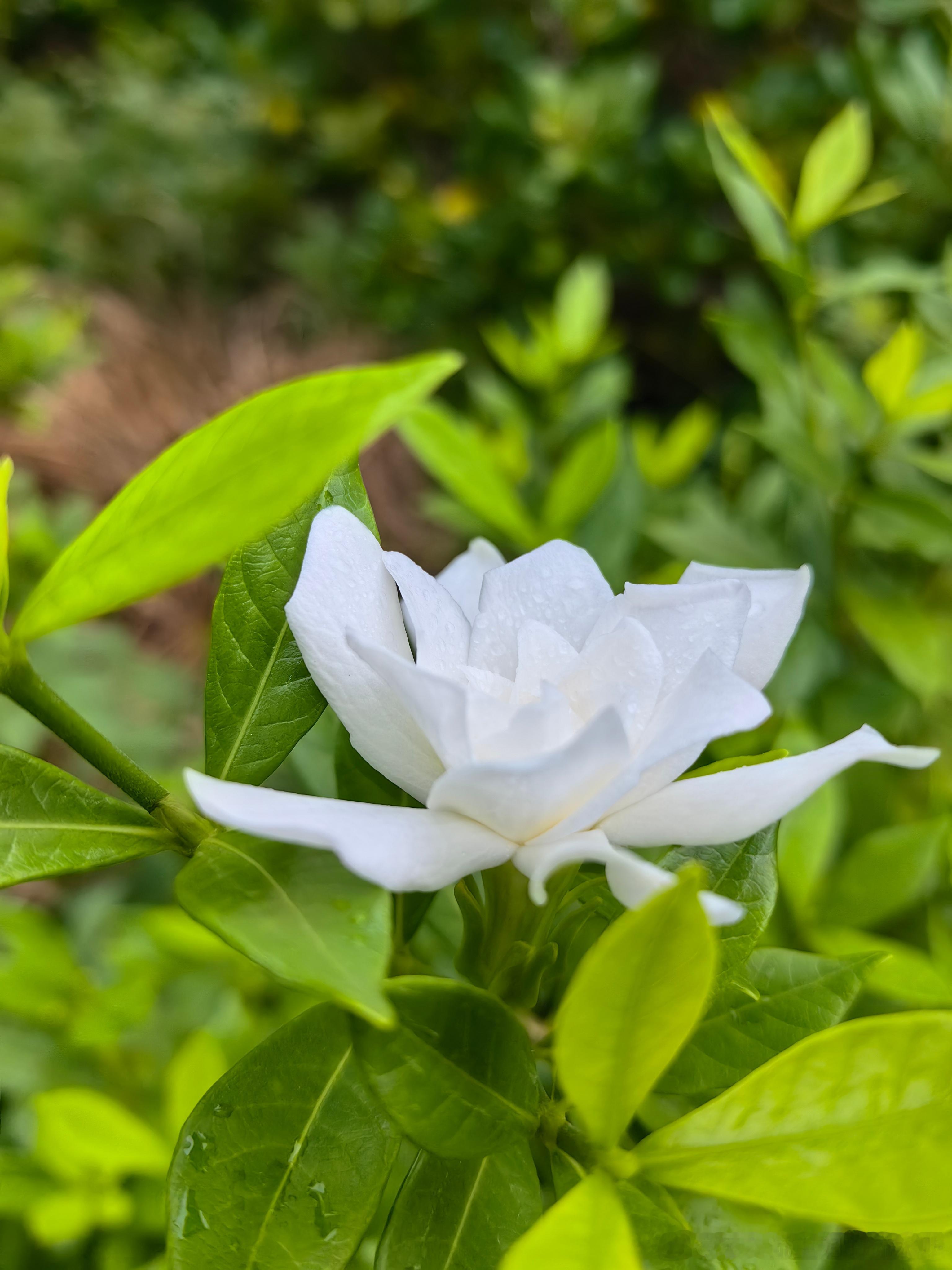 《奥德赛》观影杂感我少时读过《荷马史诗》（分《伊利亚特》和《奥德赛》）。大学时代